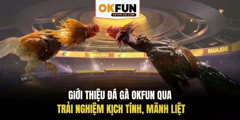 Giới thiệu đá gà okfun qua trải nghiệm kịch tính mãnh liệt
