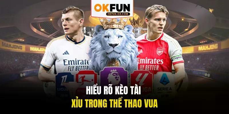 Hiểu rõ kèo tài xỉu trong thể thao vua