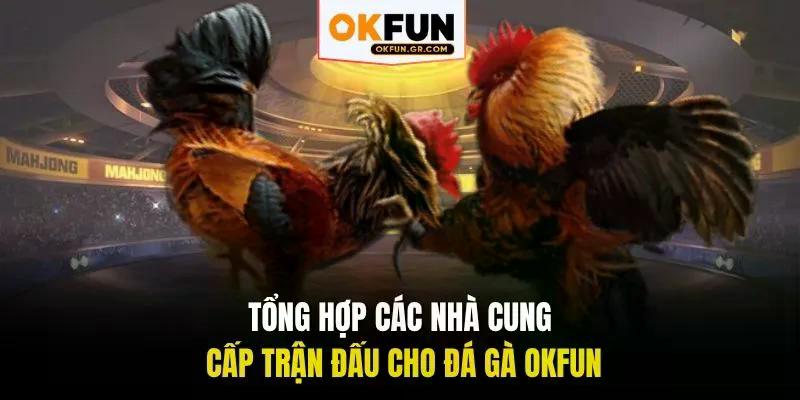 Tổng hợp các nhà cung cấp trận đấu cho đá gà okfun