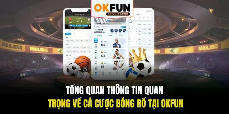 Tổng quan thông tin quan trọng về cá cược bóng rổ tại okfun